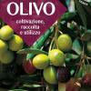 L'olivo. Coltivazione, Raccolta E Utilizzo