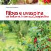 Ribes E Uvaspina Sul Balcone, In Terrazzo, In Giardino