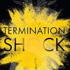 Termination shock: the thrilling new novel about climate change from the #1 new york times bestselling author