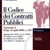Il Codice Dei Contratti Pubblici. Con Cd-rom