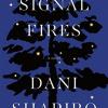 Signal fires: a novel
