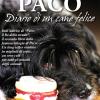 Paco. Diario Di Un Cane Felice
