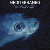 Il mistero del Mediterraneo. Trent'anni di incontri con la foca monaca. Ediz. illustrata