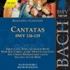 Cantatas , Vol.40