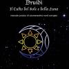 Druidi. Il Culto Del Sole E Della Luna. Manuale Pratico Di Sciamanesimo Nord Europeo