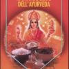 Il grande libro dell'ayurveda