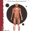 Il Corpo Umano. Primo Atlante Di Anatomia. Ediz. A Colori