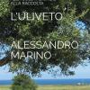L'uliveto: Una Guida Completa Alla Coltivazione E Alla Raccolta