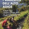 I Waalweg Dell'alto Adige. A Piedi Lungo I Sentieri D'acqua Della Val Venosta, Di Merano E Della Val Passiria