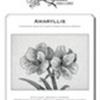 Amaryllis. A Blackwork Design. Ediz. Italiana, Inglese E Francese