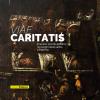 Viae Caritatis. Itinerario storico-artistico nei luoghi della sanit a Palermo