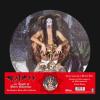 In Death Of Steve Sylvester (Picture Disc)