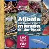 Atlante Della Fauna E Flora Marina Del Mar Rosso. Ediz. Illustrata