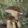 Funghi in Sardegna