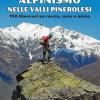 Alpinismo nelle valli pinerolesi. 190 itinerari su roccia, neve e misto
