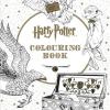 Harry Potter colouring book