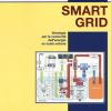 Smart Grid. Strategia Per Le Comunit Dell'energia Su Scala Urbana