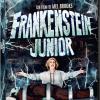 Frankenstein Junior (regione 2 Pal)