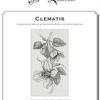 Clematis. Blackwork Design