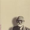 Interpretare Freud. Critica e teoria psicoanalitica