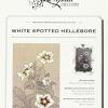 White Spotted Hellebore. Cross Stitch Blackwork Design. Ediz. Italiana, Inglese E Francese