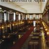 Il Museo Di Mineralogia Dell'universit Di Napoli
