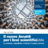 Il Nuovo Amaldi Per I Licei Scientifici.blu. Per Il Primo Biennio Del Liceo Scientifico. Con E-book. Con Espansione Online. Vol. 1