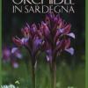Orchidee In Sardegna. Ediz. Illustrata