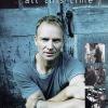 Sting:all This Time-slidepack