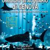Omicidio all'acquario di Genova