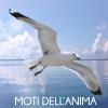 Moti Dell'anima