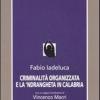 Criminalit Organizzata E La 'ndrangheta In Calabria