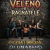 Veleno E Ragnatele. Ascesa E Discesa Di Una Band