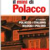 Il Mini Di Polacco. Dizionario Polacco-italiano, Italiano-polacco