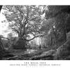 The Rock-tree. Holm Oak, Badde Tureddu, Orgosolo, Sardinia. Ediz. Italiana E Inglese. Con Stampa Fine Art