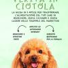 Verit� In Ciotola: La Guida Definitiva In 5 Mosse Per Trasformare L'alimentazione Del Tuo Cane In Benessere, Senza Cucinare E Senza Cadere Nelle Trappole Del Marketing