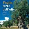 Puglia. Terra Dell'olivo