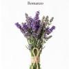 Al Profumo Di Lavanda