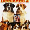 Beethoven 2 (1 Dvd)