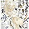 Migrazioni Degli Uccelli. America Del Nord E Del Sud. Carta Murale. Ediz. Inglese