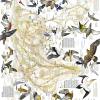 Migrazioni Degli Uccelli. Eurasia, Africa E Oceania. Carta Murale. Ediz. Inglese
