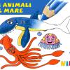 Gli animali del mare. Ediz. illustrata