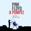 Pink Floyd a Pompei. Una storia fuori dal tempo