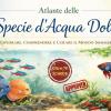 Atlante Delle Specie D'acqua Dolce In Acquario - Esplorare, Comprendere E Curare Il Mondo Sommerso: Oltre 70 Schede Di Allevamento