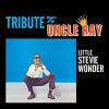 Tribute To Uncle Ray (+ The Jazz Soul Of Little Stevie)
