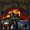 Grateful Dead (the)