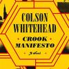 Crook manifesto: a novel