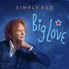Big Love (1 Cd Audio)