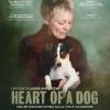 Heart Of A Dog (Regione 2 PAL)