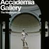 Accademia Gallery. The Masterpieces. Ediz. Illustrata